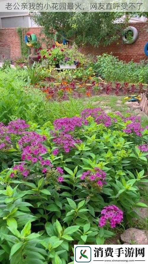 老公亲我的小花园最火网友直呼受不了