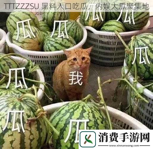 TTTZZZSU-黑料入口吃瓜-内娱大瓜聚集地