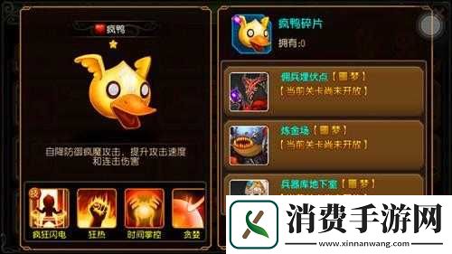 破晓之光宠物搭配