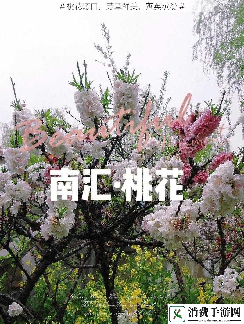 #桃花源口芳草鲜美落英缤纷#