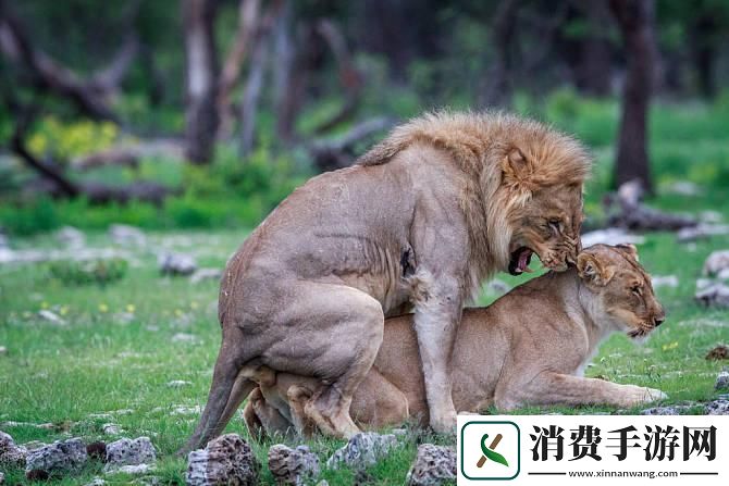 科技狂潮下的动物繁衍