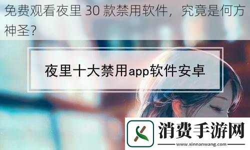免费观看夜里30款禁用软件究竟是何方神圣