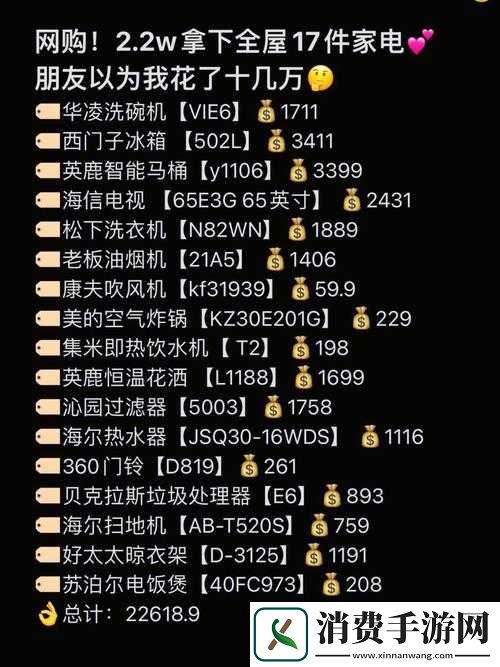 揭秘成品网源码