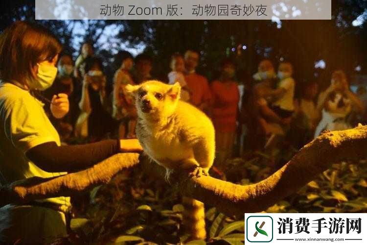 动物Zoom版