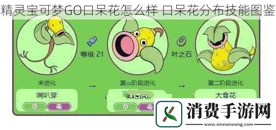 精灵宝可梦GO口呆花怎么样口呆花分布技能图鉴