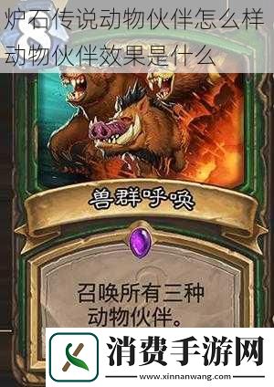 炉石传说动物伙伴怎么样动物伙伴效果是什么