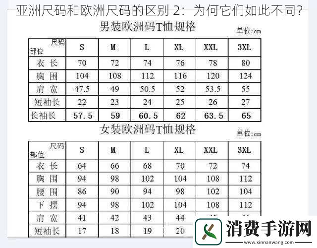 亚洲尺码和欧洲尺码的区别-2：为何它们如此不同