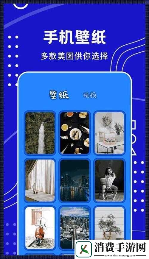 混乱小镇公交车售票员工作内容如何