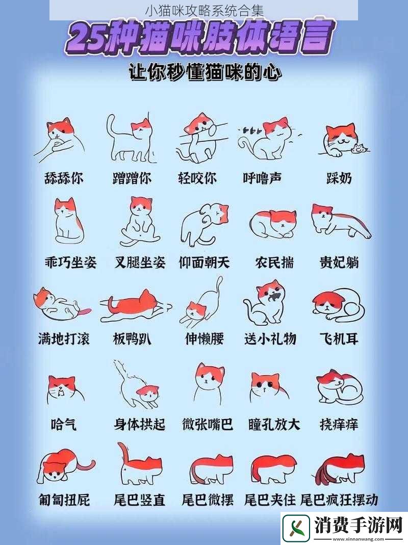 小猫咪攻略系统合集