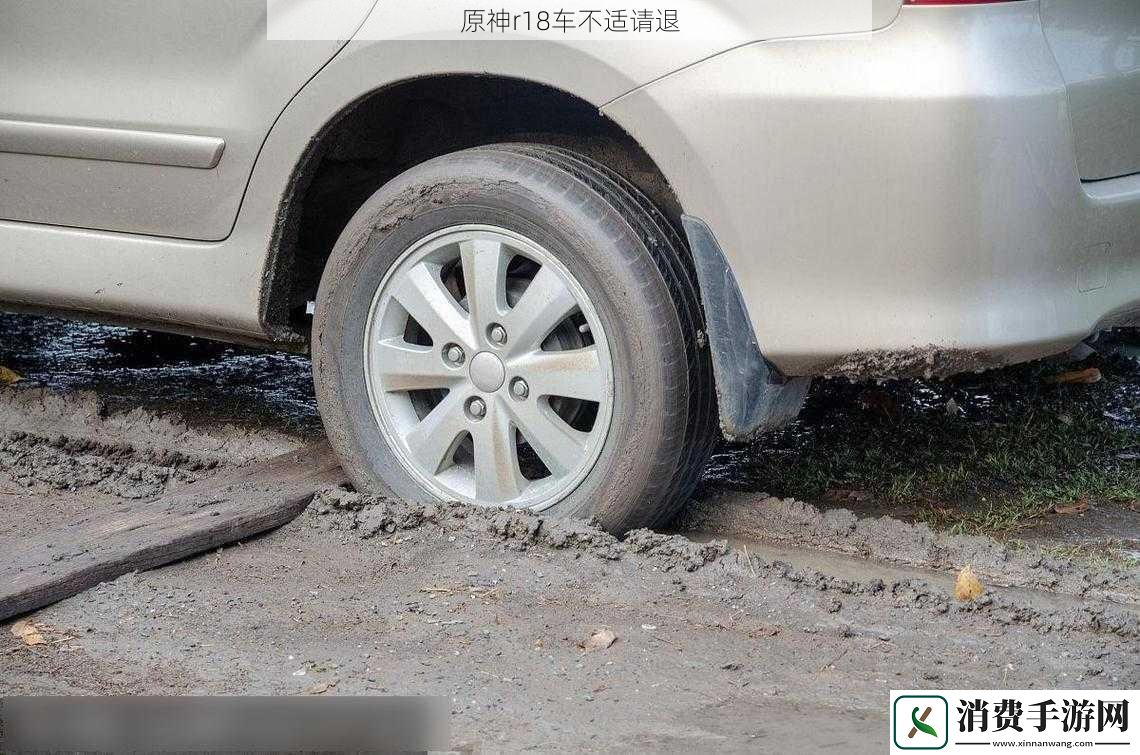 原神r18车不适请退