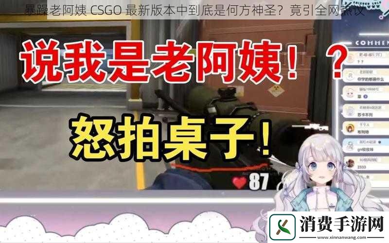 暴躁老阿姨-CSGO-最新版本中到底是何方神圣-竟引全网热议