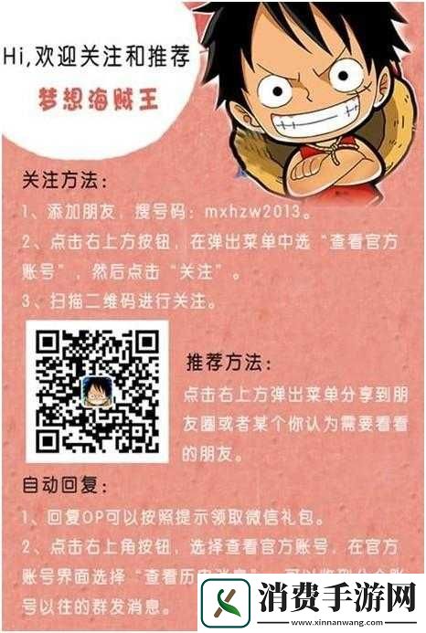 梦想海贼王玩家游戏心得