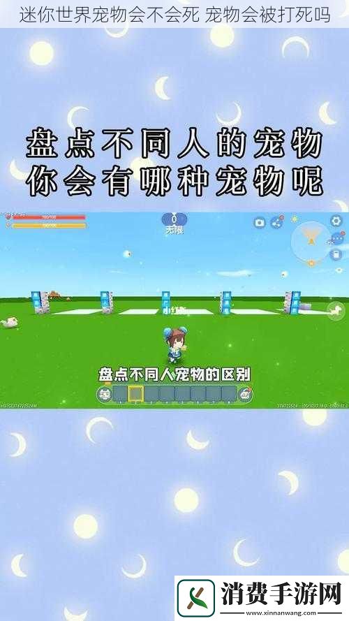 迷你世界宠物会不会死宠物会被打死吗