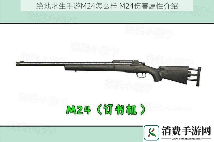 绝地求生手游M24怎么样M24伤害属性介绍