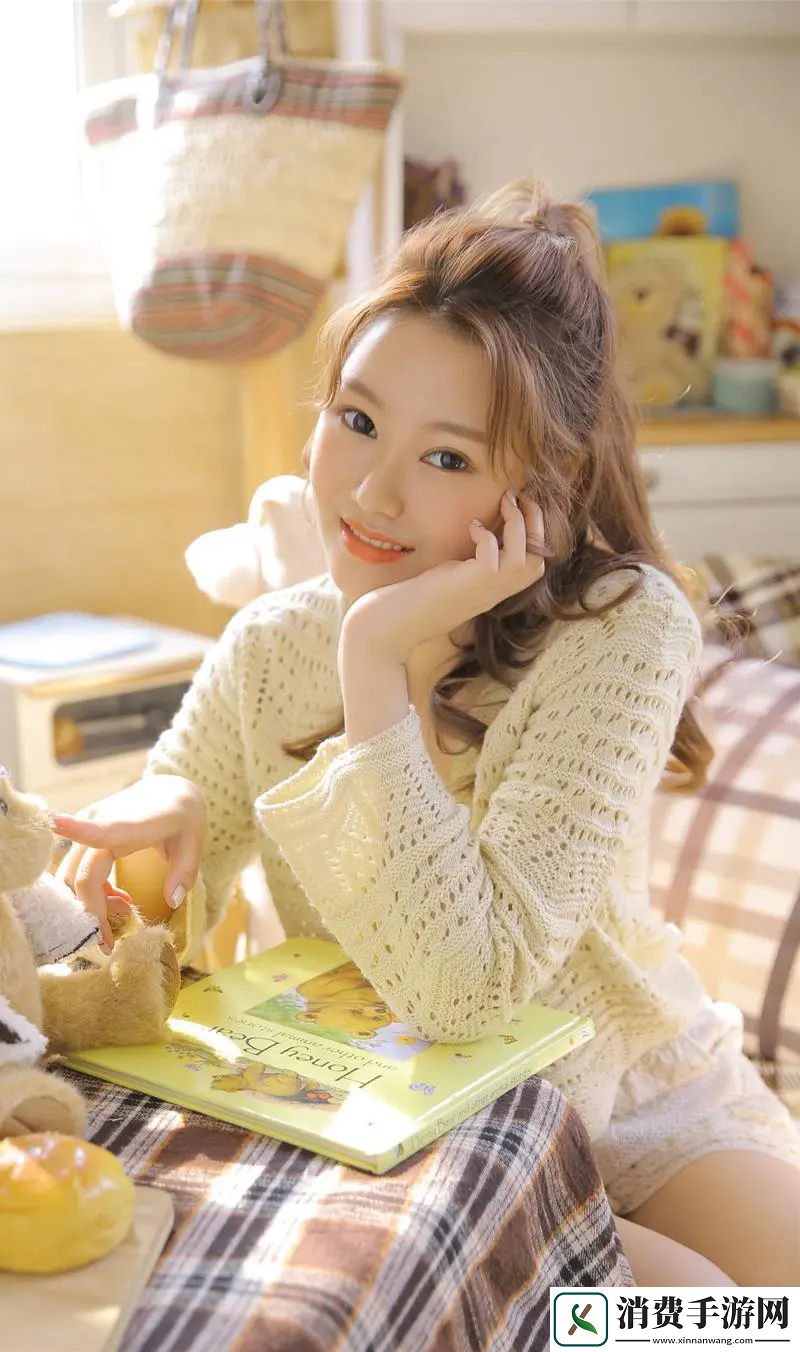 秘密入口mini6的安全保护