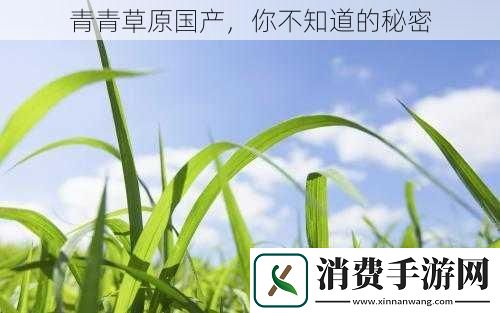 青青草原国产你不知道的秘密