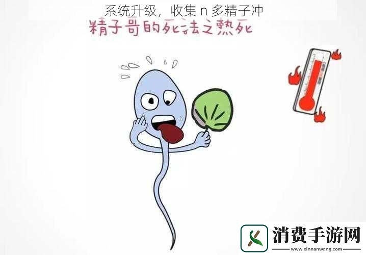 系统升级收集n多**冲