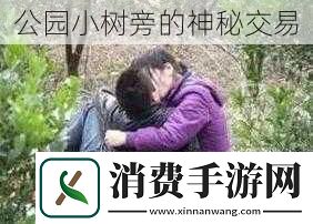 公园小树旁的神秘交易