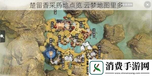 楚留香采药地点览云梦地图里多