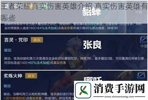 王者荣耀真实伤害英雄介绍真实伤害英雄有哪些