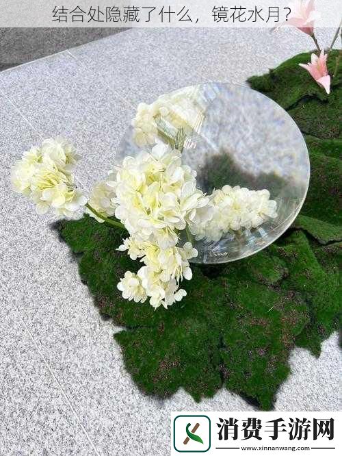 结合处隐藏了什么镜花水月