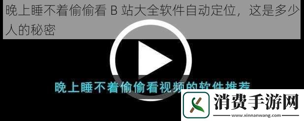 晚上睡不着偷偷看-B-站大全软件自动定位-这是多少人的秘密