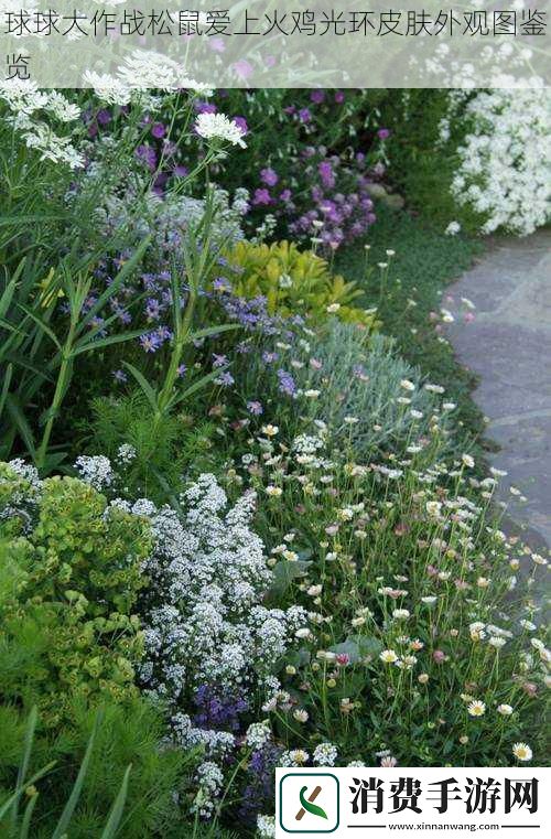 球球大作战松鼠爱上火鸡光环皮肤外观图鉴览