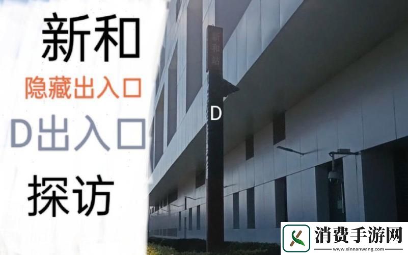 潮起“隐入口”：创新界的神秘“任意门”