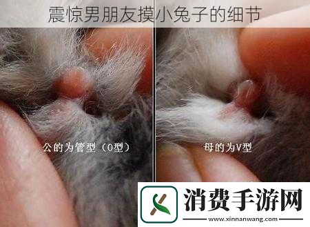 震惊男朋友摸小兔子的细节