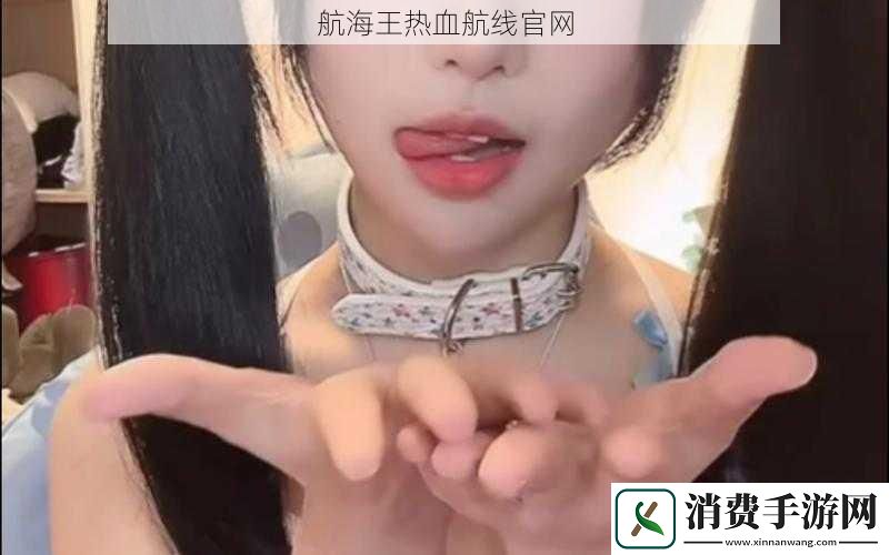 航海王热血航线官