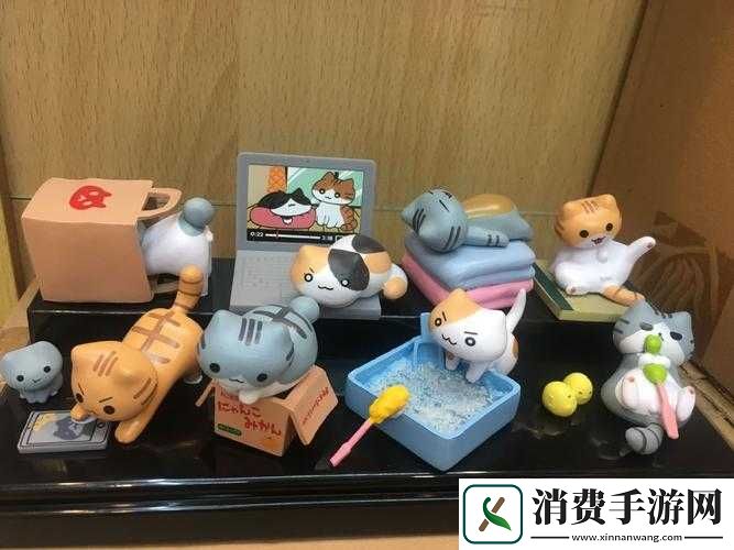 猫咪后院物品如何放置