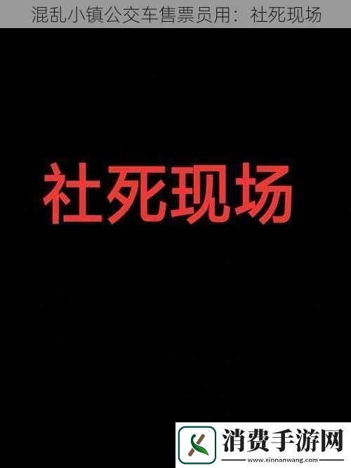 混乱小镇公交车售票员用