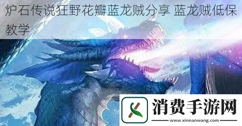 炉石传说狂野花瓣蓝龙贼分享蓝龙贼低保教学