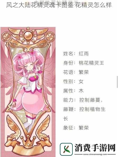 风之大陆花精灵魂卡图鉴