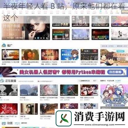 半夜年轻人看B站原来他们都在看这个