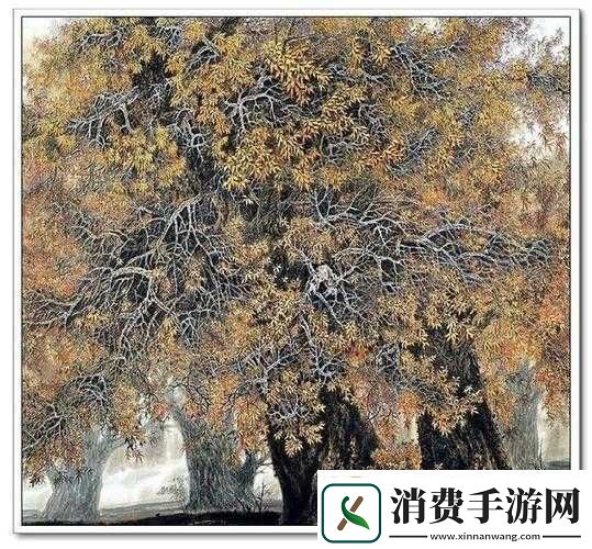 双龙入户感受非凡