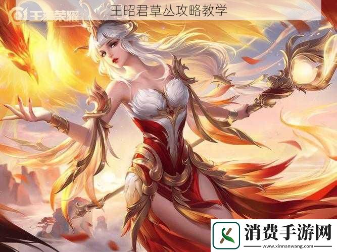 王昭君草丛攻略教学