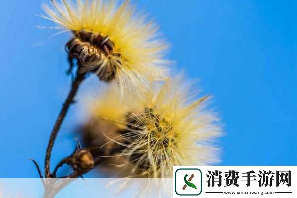 手游新视界微软Office换新颜Aptos字体来袭你的游戏设计灵感升级了吗