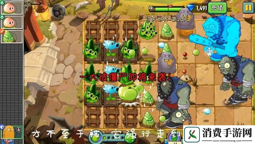 植物大战僵尸2功夫世界铜人阵第天攻略