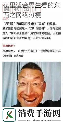 夜里适合男生看的东西之网络热梗