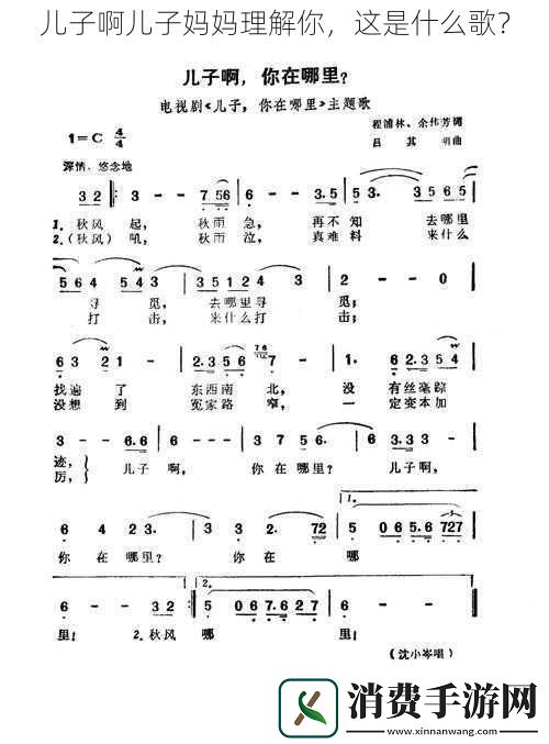 儿子啊儿子妈妈理解你这是什么歌