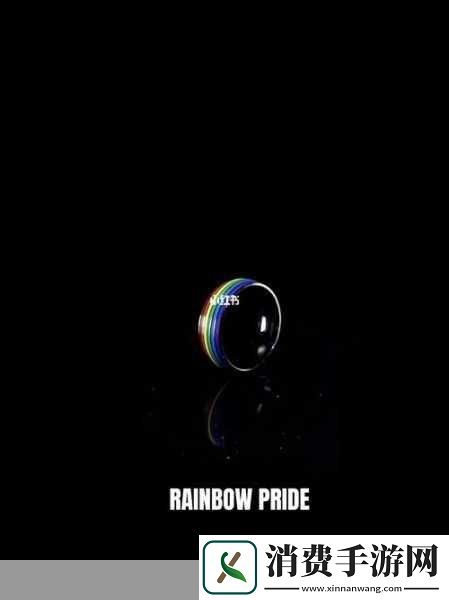 日本pride：你认为日本的Pride活动在促进社会包容性方面发挥了怎样的作用