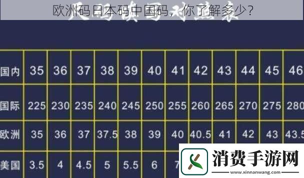欧洲码日本码中国码你了解多少