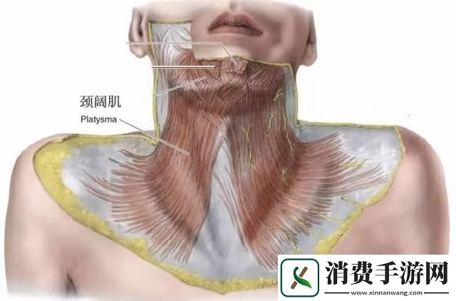 “脖颈儿硬过钢膜-全球瞩目新焦点！”