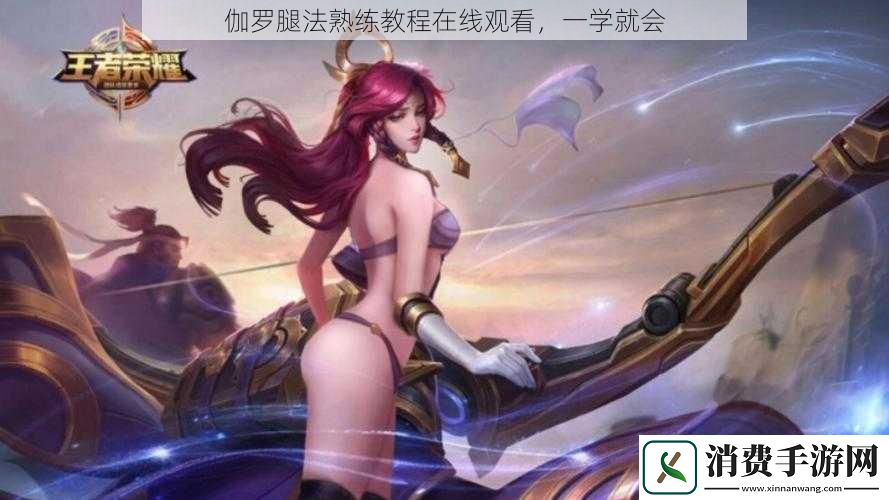 伽罗腿法熟练教程在线观看一学就会