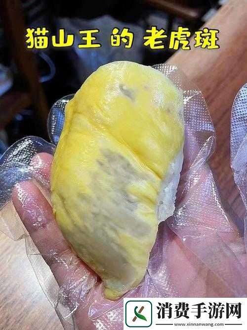 榴莲色斑让你流连忘返-503：神奇的存在