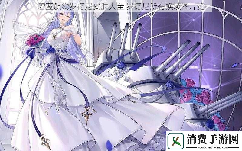 碧蓝航线罗德尼皮肤大全