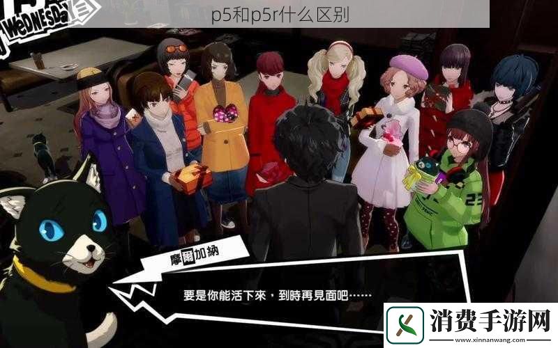 p5和p5r什么区别