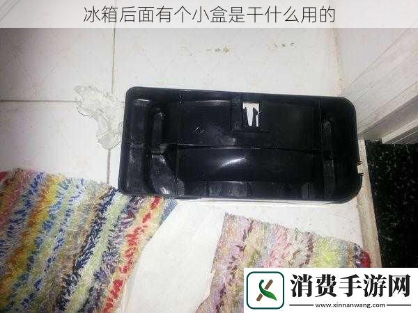 冰箱后面有个小盒是干什么用的