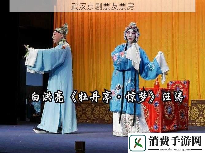 武汉京剧票友票房